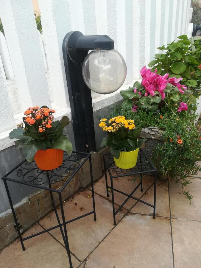 B&B Lety Alghero Eksteriør billede